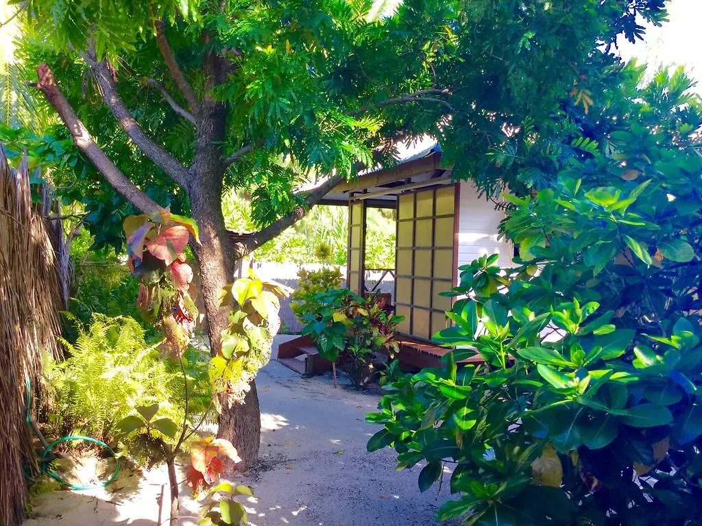 Teavaro Fare Maeva Moorea酒店 法属玻利尼西亚